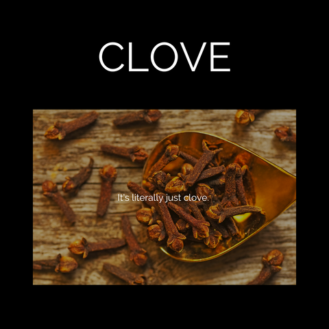 Clove | Charcoal Incense Cones