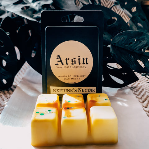 Neptune’s Nectar | Wax Melt Brick